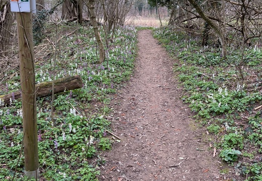 20220325073926-e01c8e56